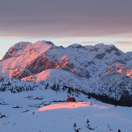 Velika Planina - Chalet Stane - Alps Стаховиця Екстер'єр фото