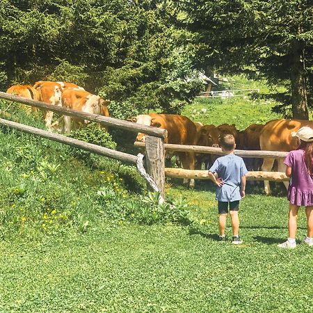 Velika Planina - Chalet Stane - Alps Стаховиця Екстер'єр фото