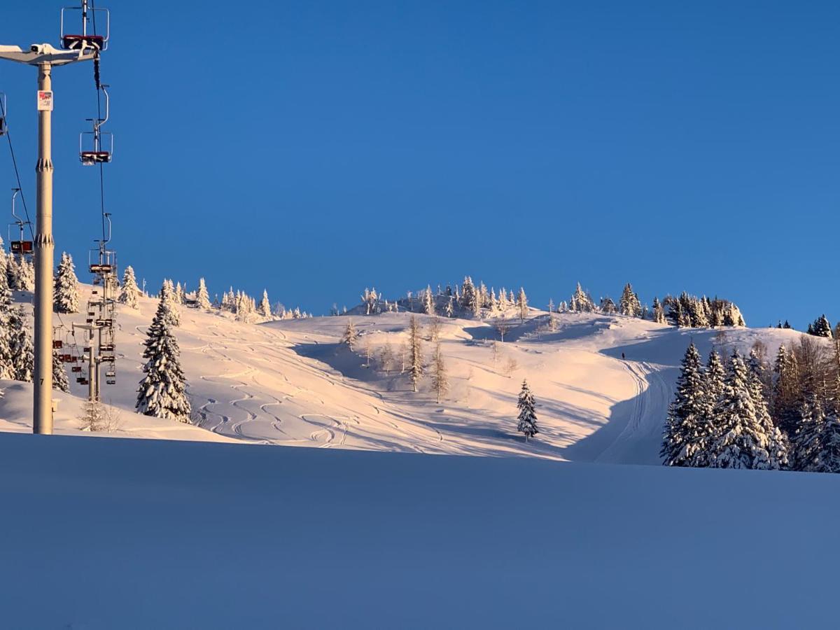 Velika Planina - Chalet Stane - Alps Стаховиця Екстер'єр фото