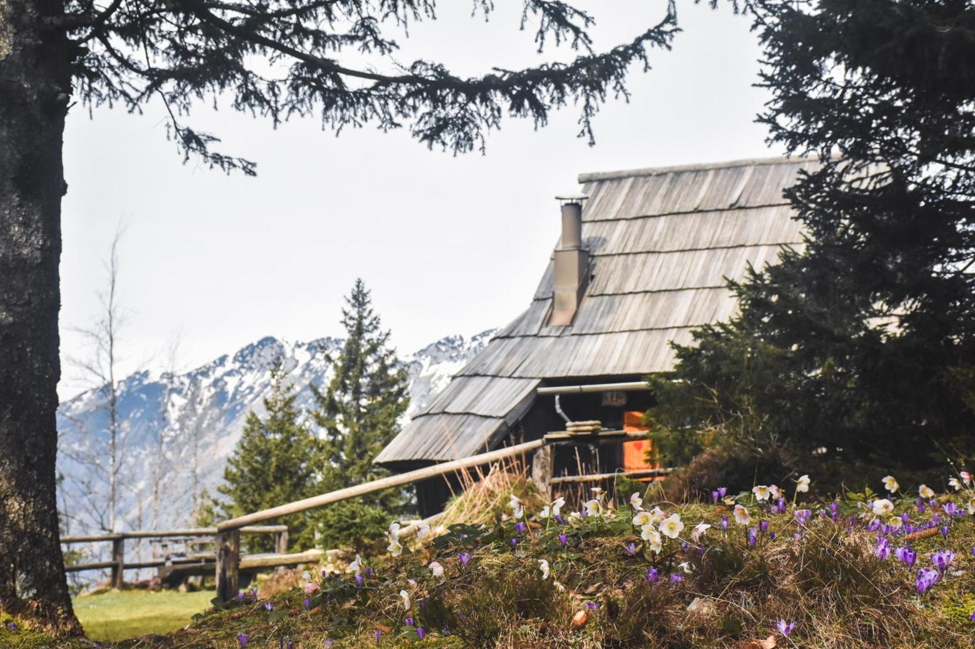 Velika Planina - Chalet Stane - Alps Стаховиця Екстер'єр фото