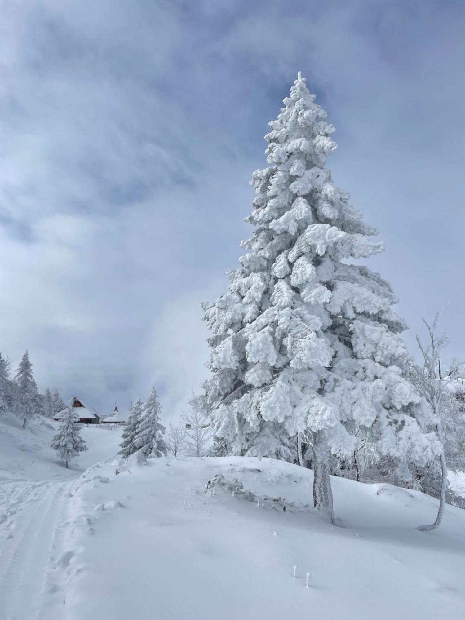 Velika Planina - Chalet Stane - Alps Стаховиця Екстер'єр фото